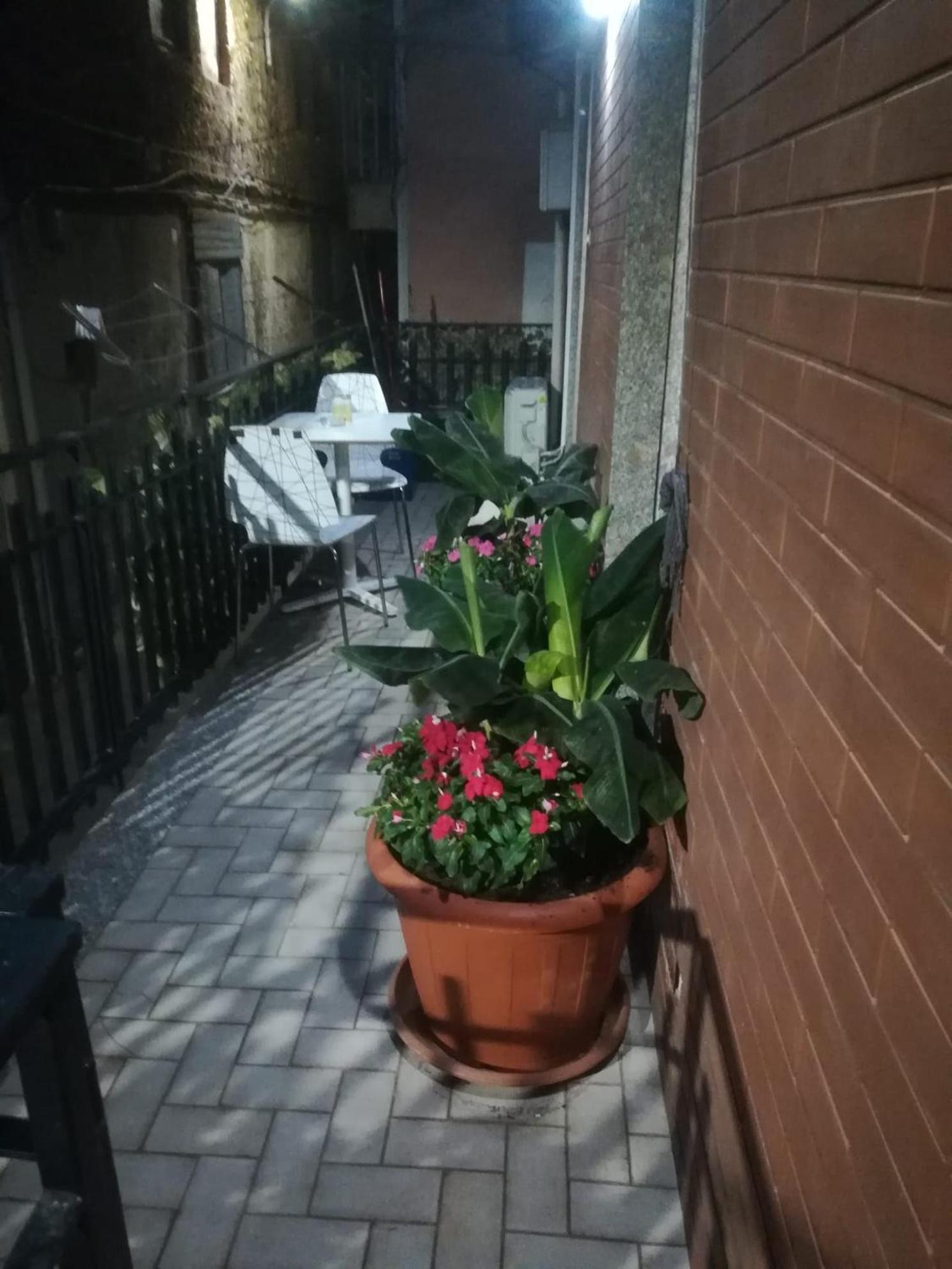 Le Del Cortile 2 *