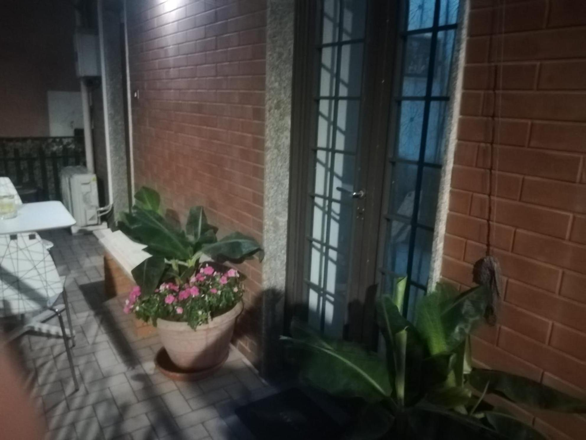 Le Del Cortile 2